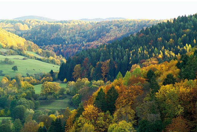 Hummelcasa Ferienhaus Bayreuth Pittersdorf Esterno foto